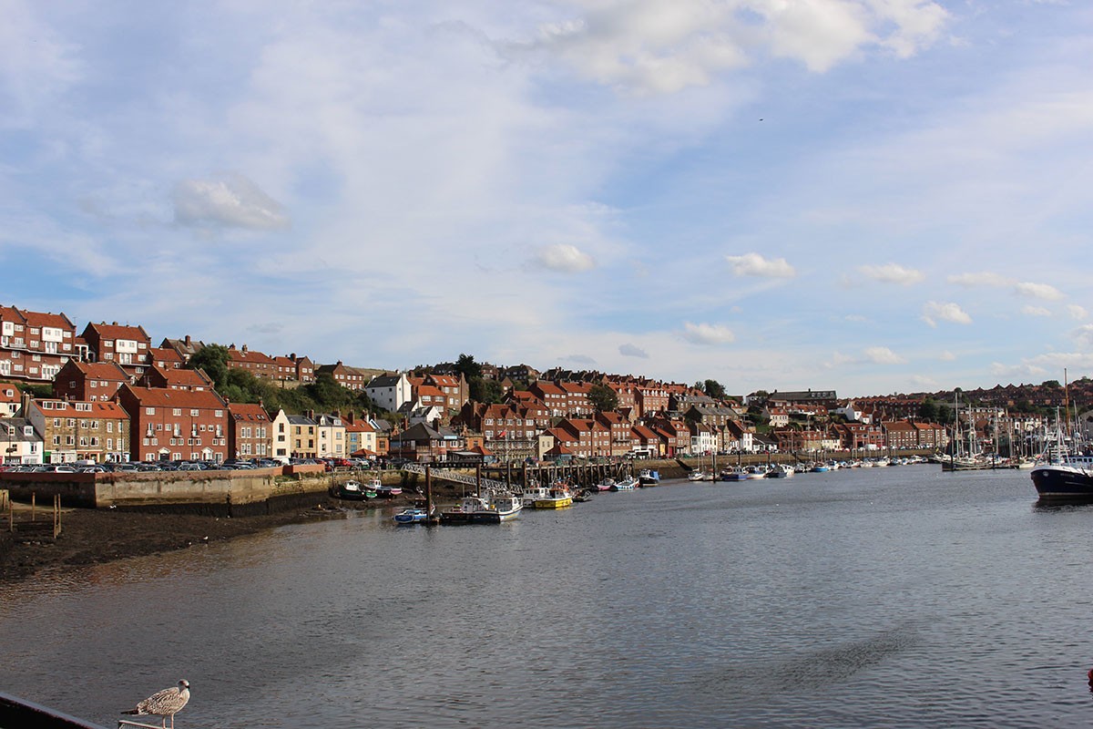  Whitby coast